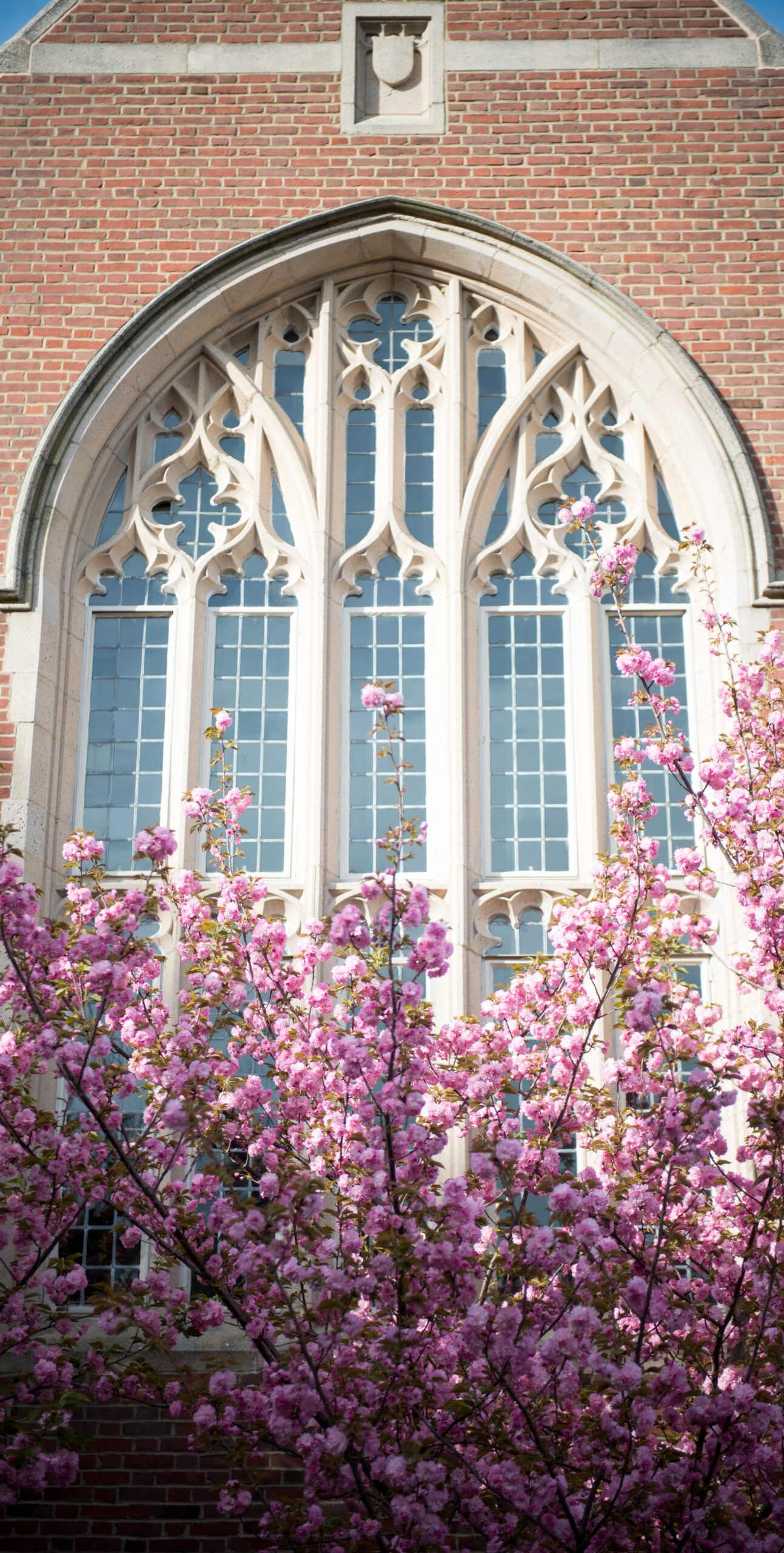 University of Richmond